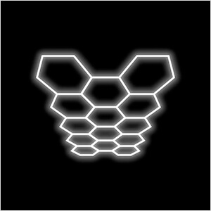 Large 14 Hex LED Lighting Kit (16.89’ x 9.74’)