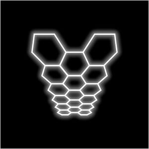 Large 17 Hex LED Lighting Kit (19.94’ x 9.74’)