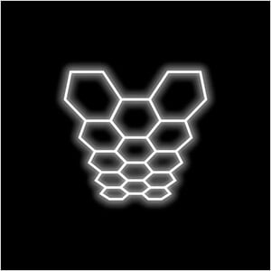 Small 14 Hex LED Lighting Kit (14' x 8')